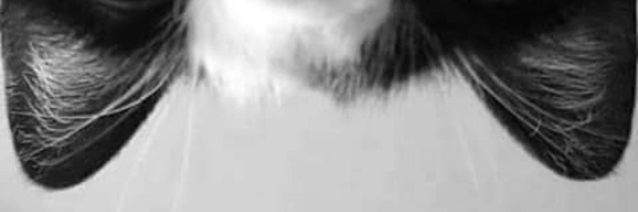 isminamee's profile banner image