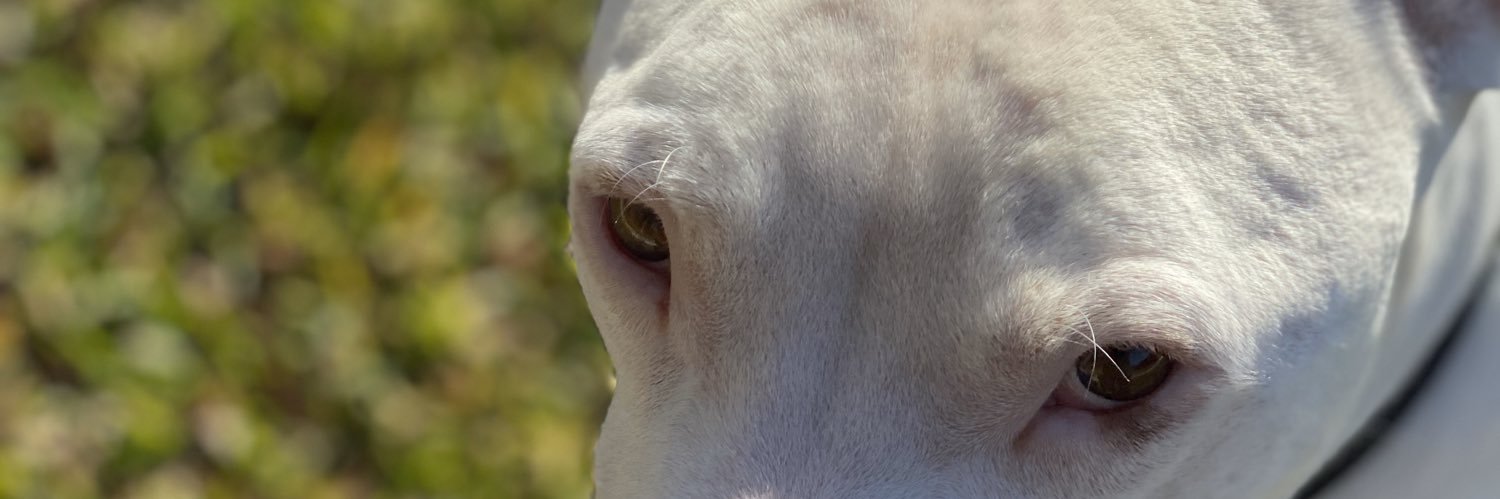 WarnchJewice's profile banner image