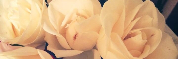 aleairam_1's profile banner image