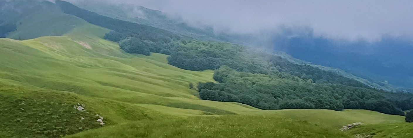 Mrbitmouse's profile banner image