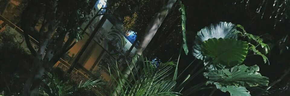 Sharoon_Cs's profile banner image