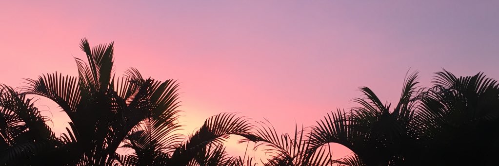 Zarembski94's profile banner image