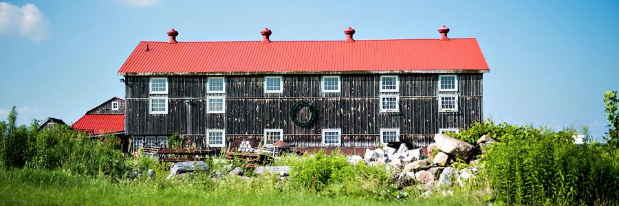 Timeless Material Co banner