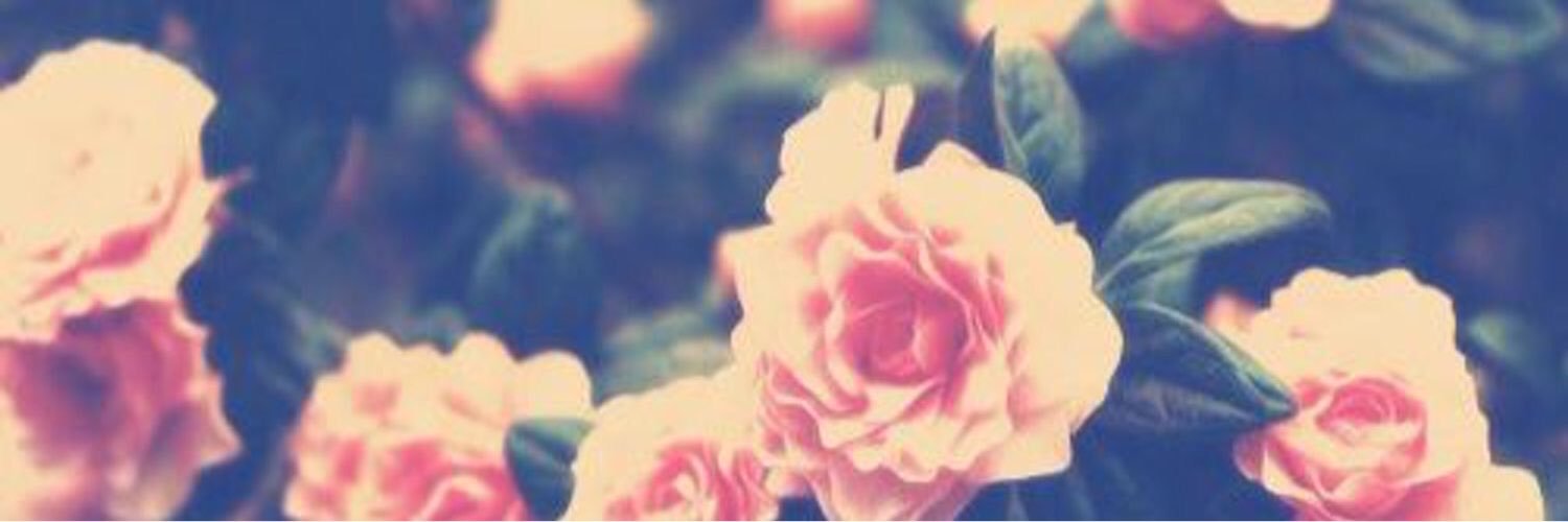 LizziHodges's profile banner image