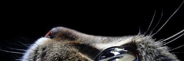 AucesDzAB's profile banner image