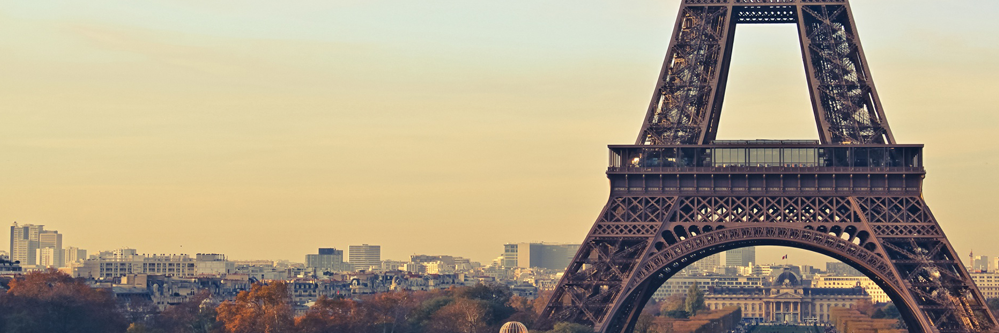 aivp_asso's profile banner image