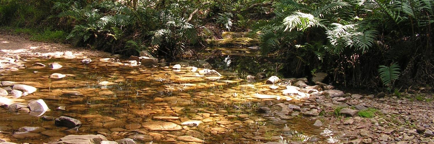 Fijnbosch1's profile banner image