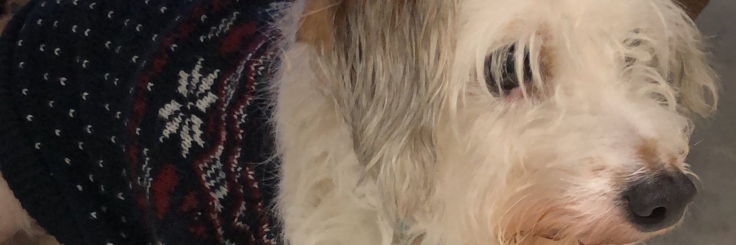KyleFanning92's profile banner image