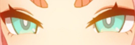 velikᴧin banner