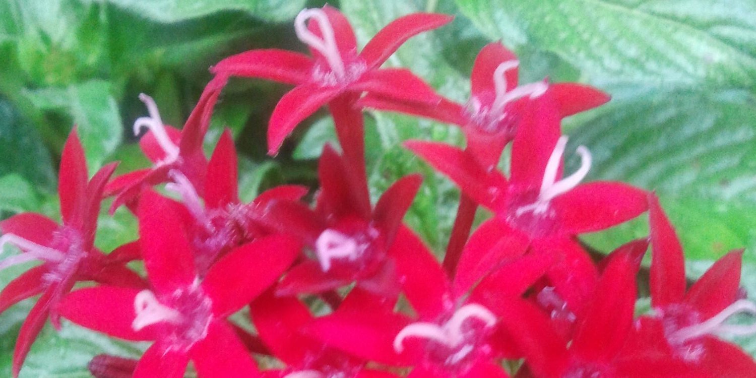 Mumsie124's profile banner image