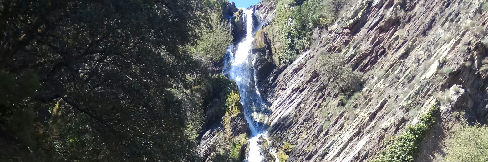 ¤ aly de caceres ¤ banner