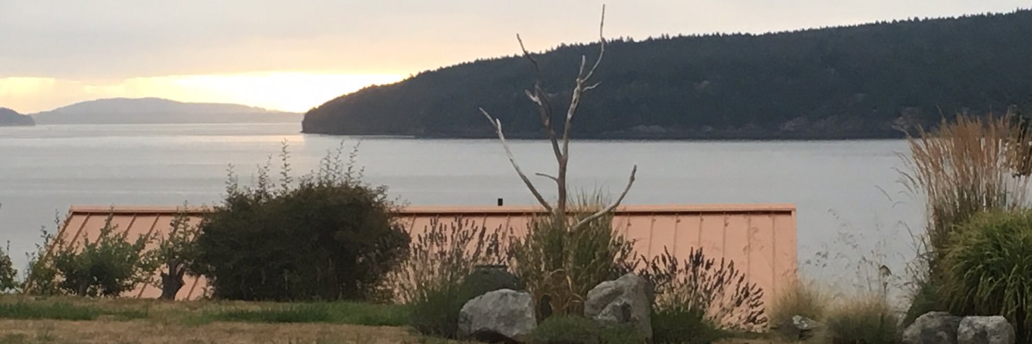 besary's profile banner image