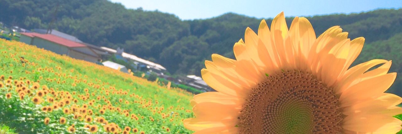 s_s_335's profile banner image