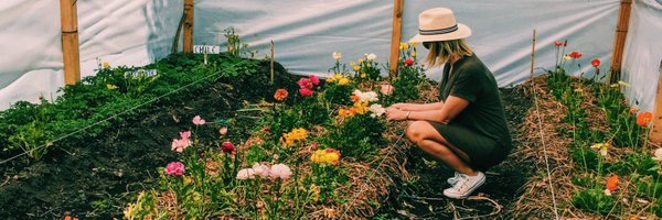 skiptomalouuu Profile Banner