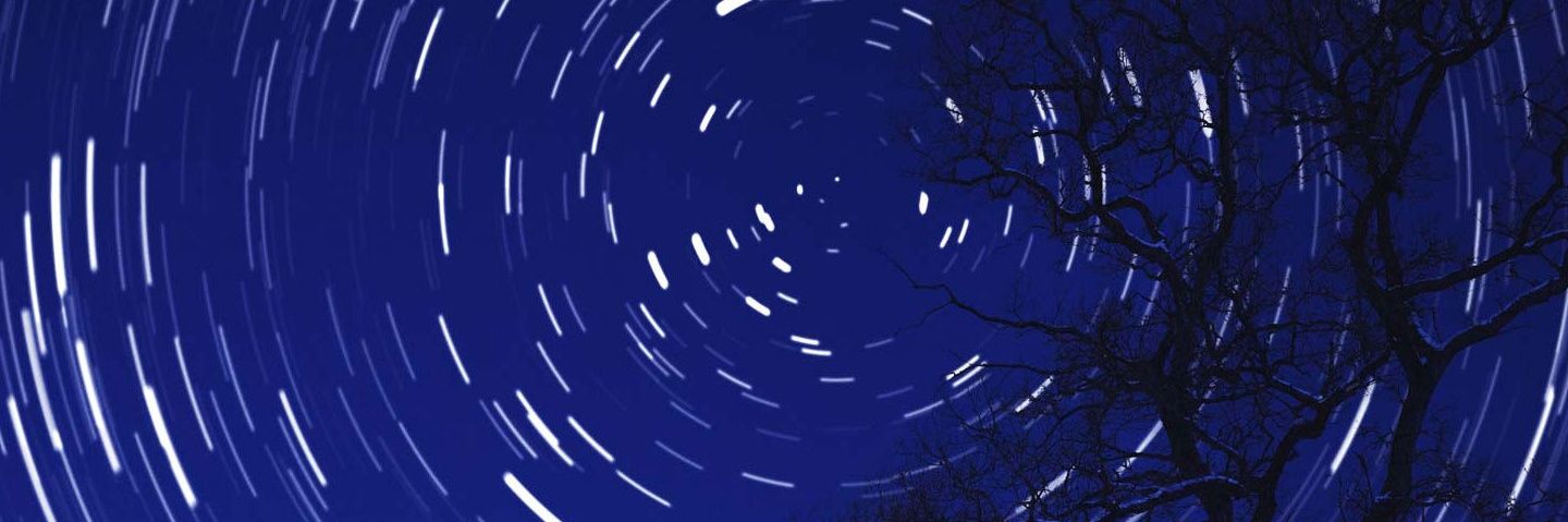 MissEarley1's profile banner image