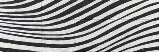 celiaoberholzer's profile banner image