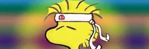 BcNennerb's profile banner image
