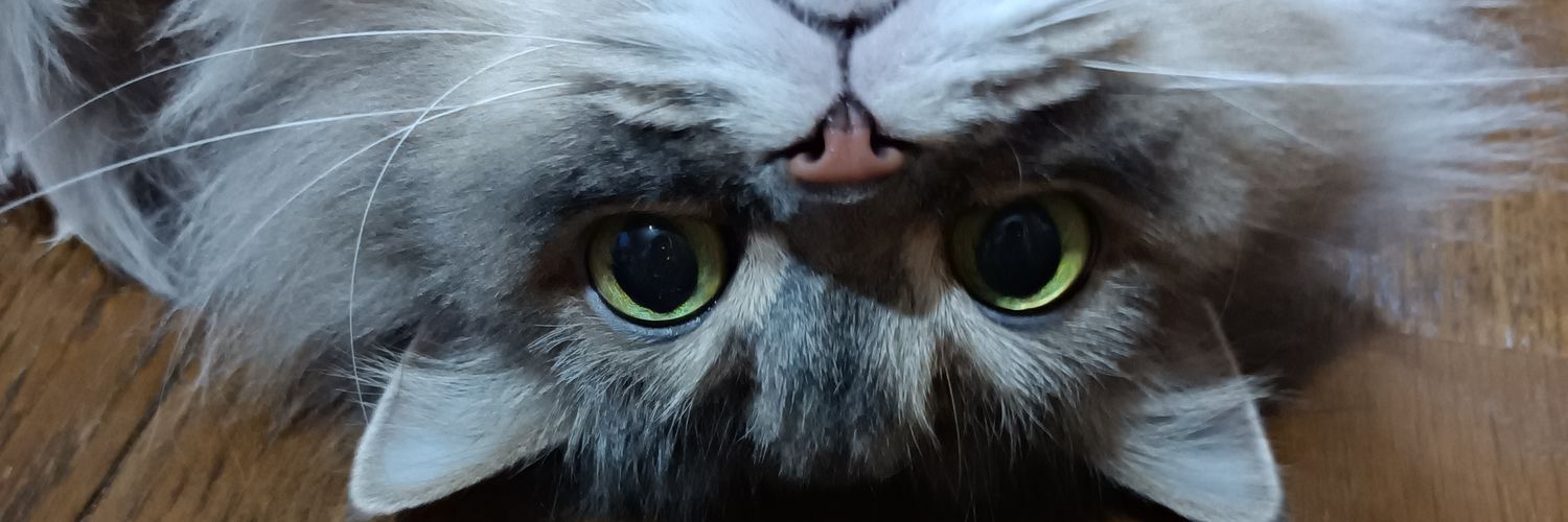 memeO4O5's profile banner image