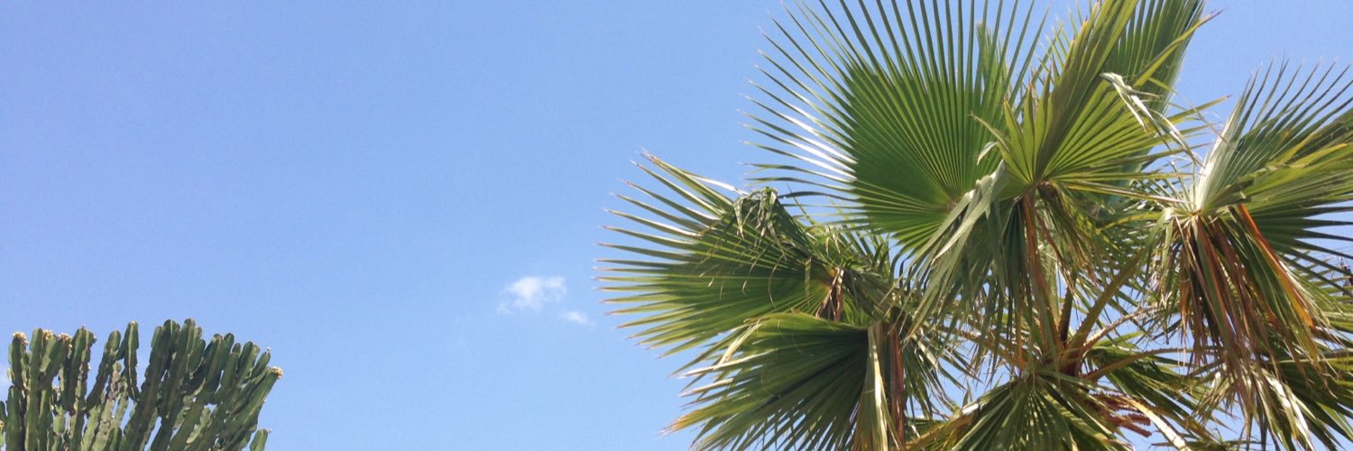 vdk77's profile banner image