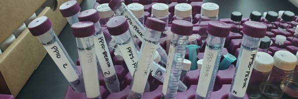 jesskramerutah Profile Banner