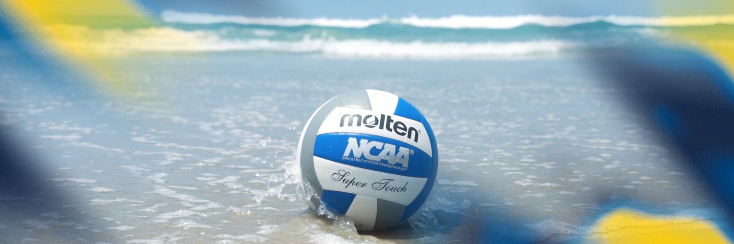 UC San Diego Women's Volleyball banner