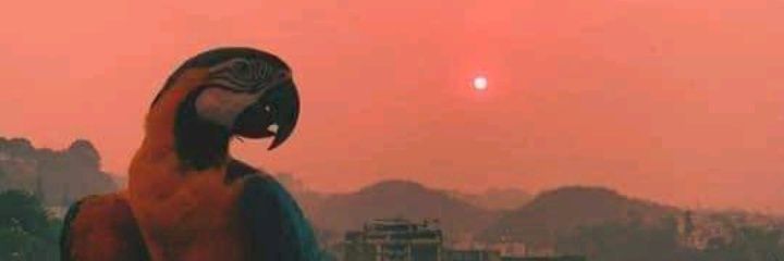 VulgoDeck's profile banner image