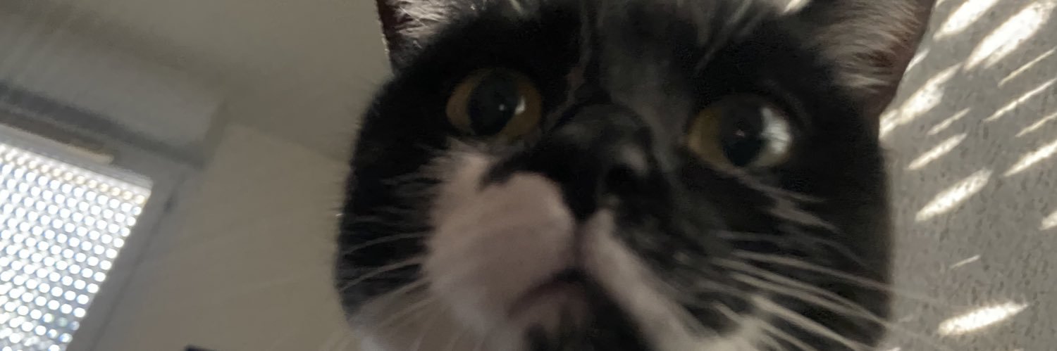 etnecivdso's profile banner image