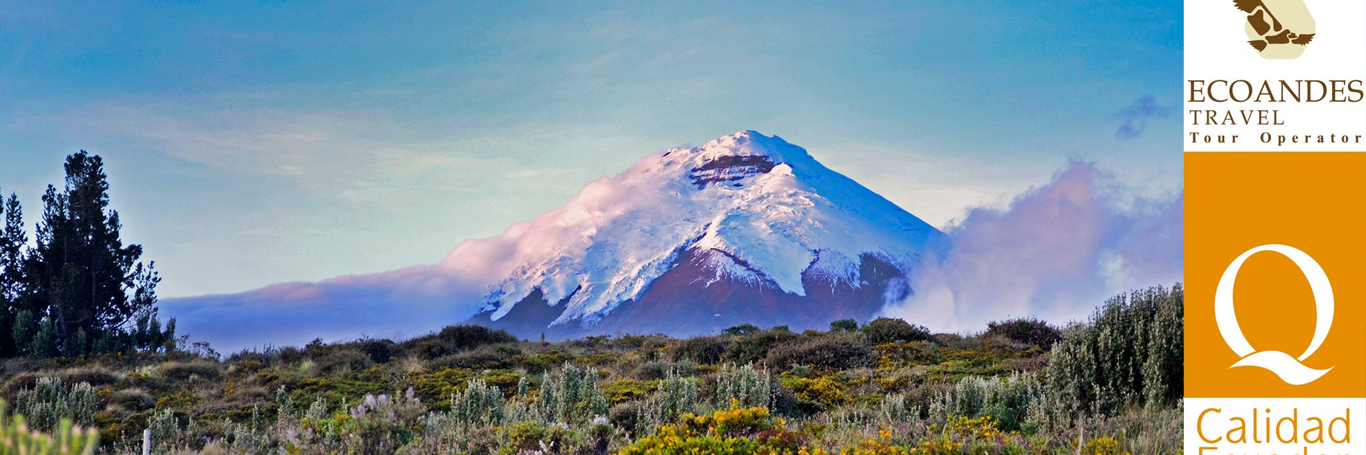 EcoAndesTravel's profile banner image