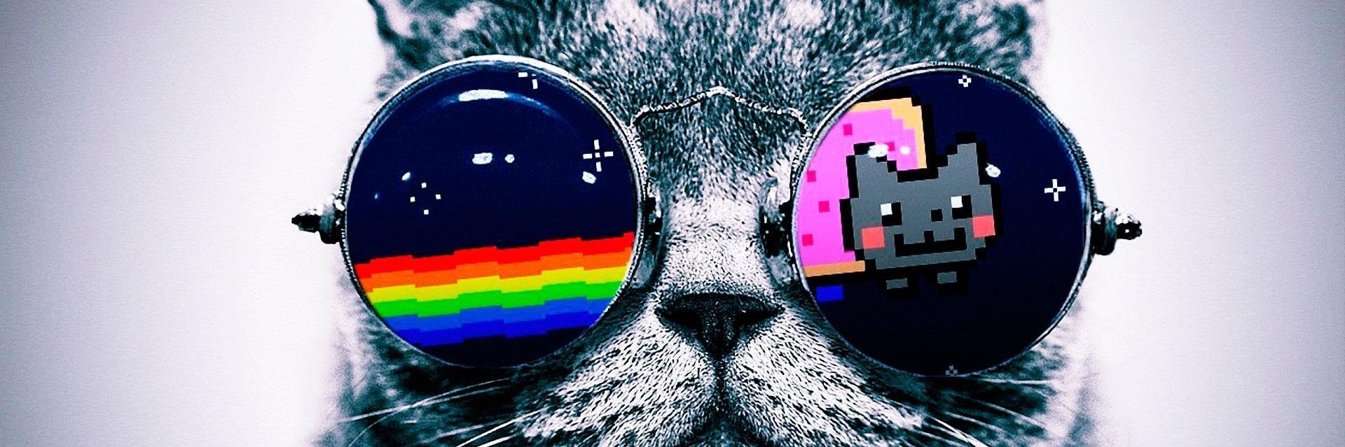 PatoTheMomo's profile banner image