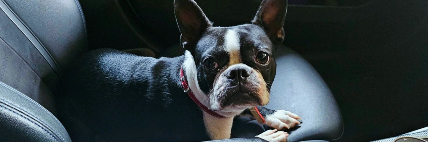 Hanyani WaKa Ngobeni banner