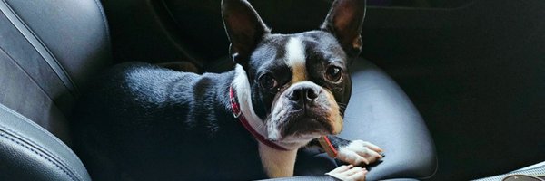 R3dbet Profile Banner