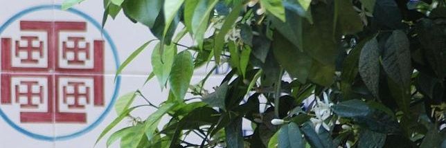 rocalero_'s profile banner image