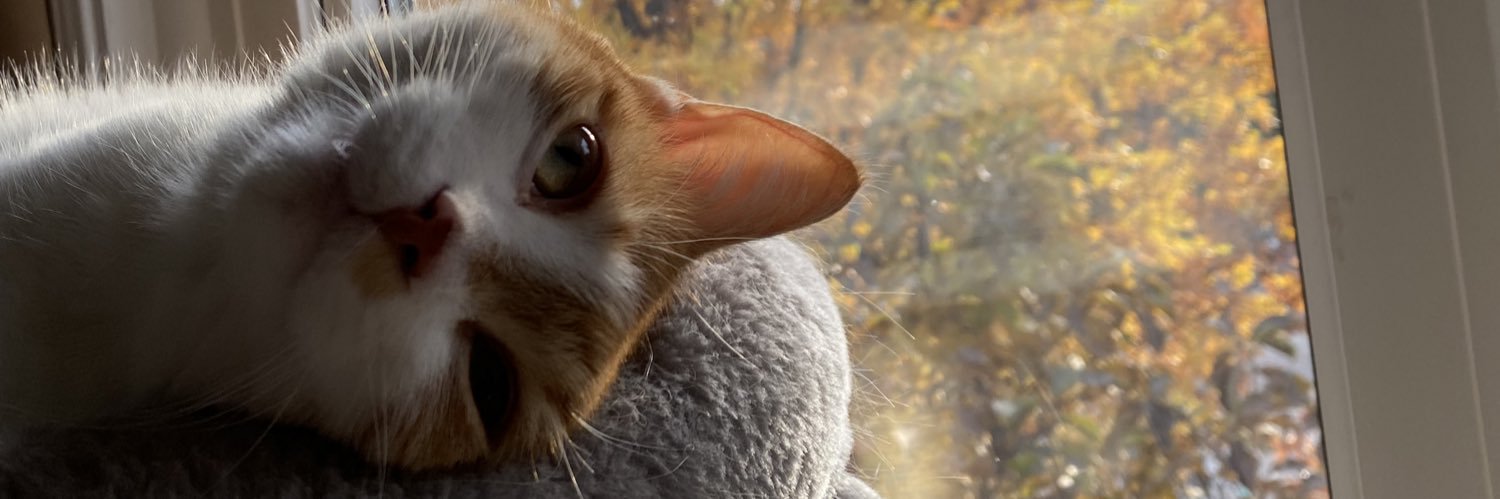 emmatemplee's profile banner image