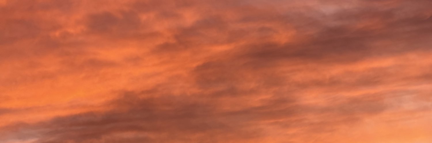 _niiniinii's profile banner image