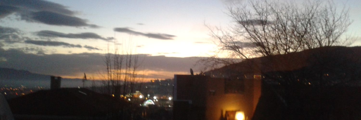 Ayşe N. banner