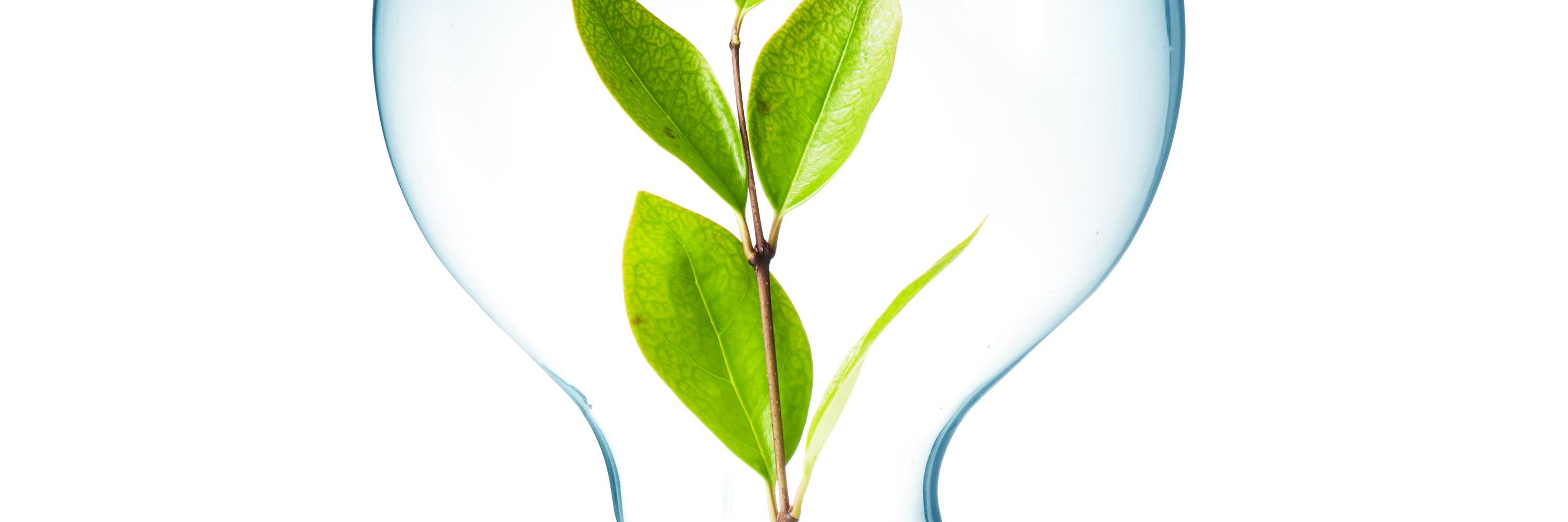 Annabeth Aagaard banner