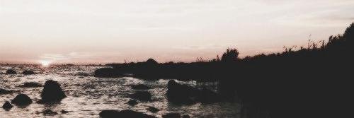 iradillane's profile banner image