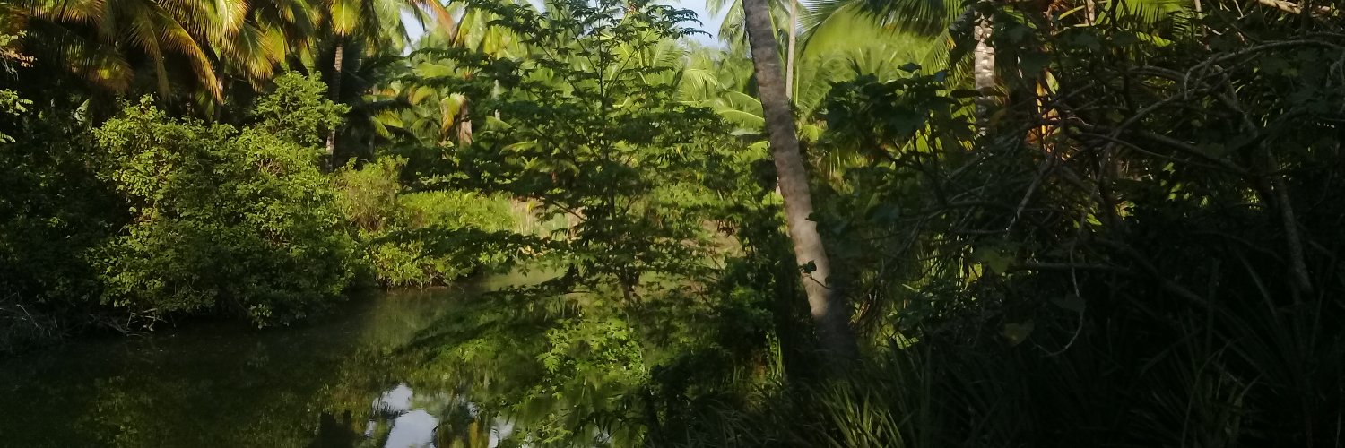 valejacavila's profile banner image