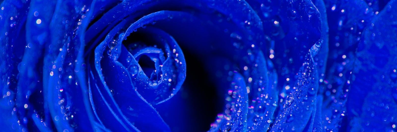 QUIDSESTVERITAS's profile banner image