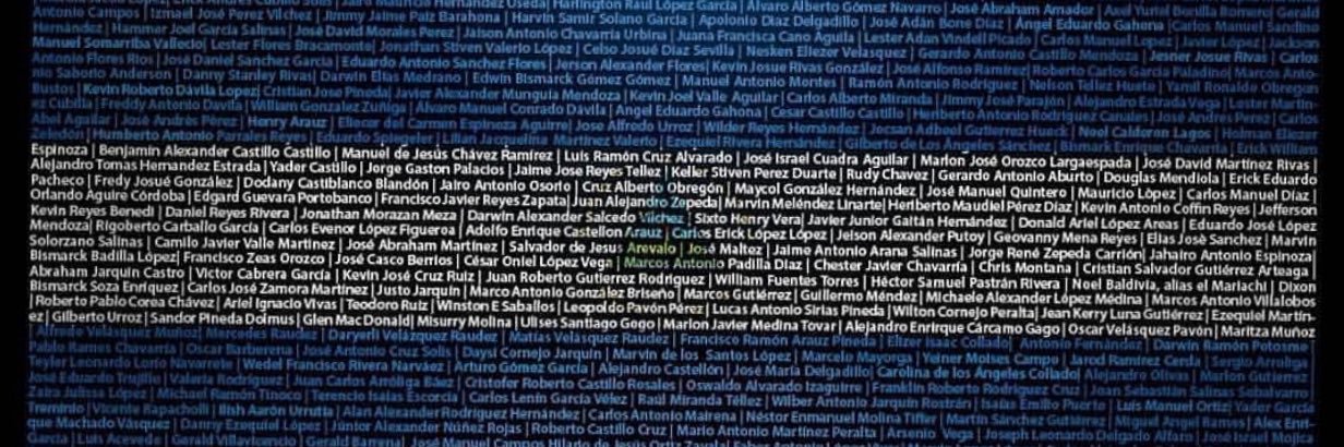 NeyirysD's profile banner image