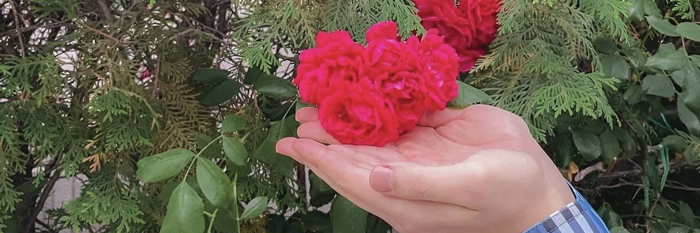KSHPohangTiger's profile banner image