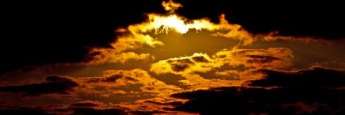 Rob Greenwald banner