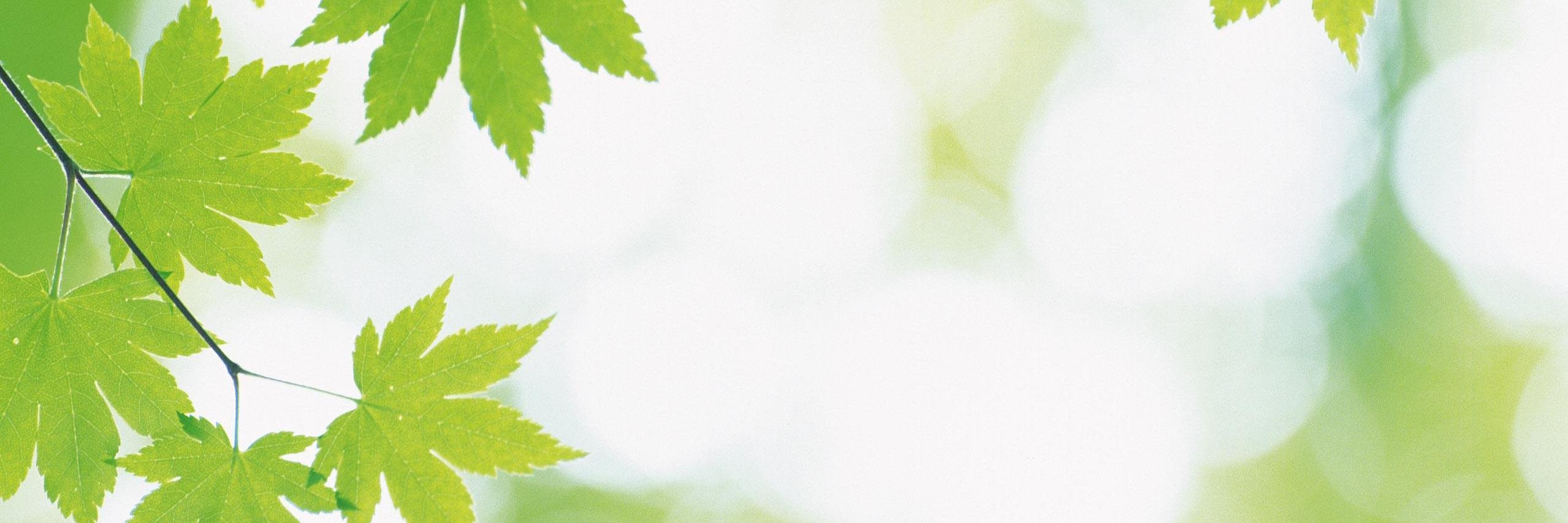 autoselectricos's profile banner image