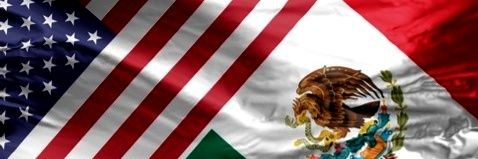 Miklo Fact Based 🐱 Beastwood banner