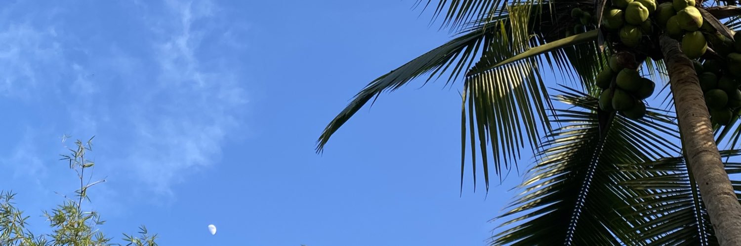 Sharhl's profile banner image