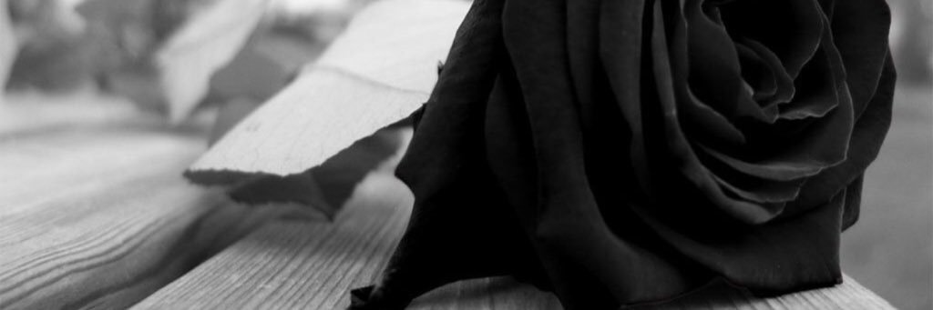 Clari🖤 banner