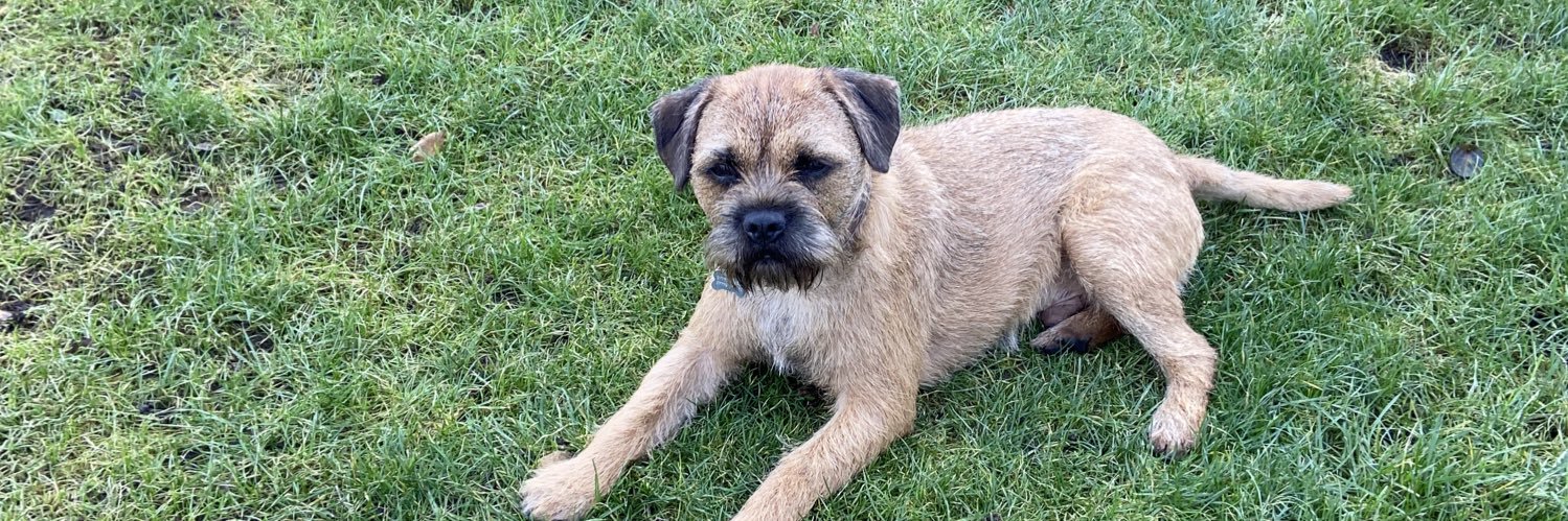 Nick Crofts-Smith banner