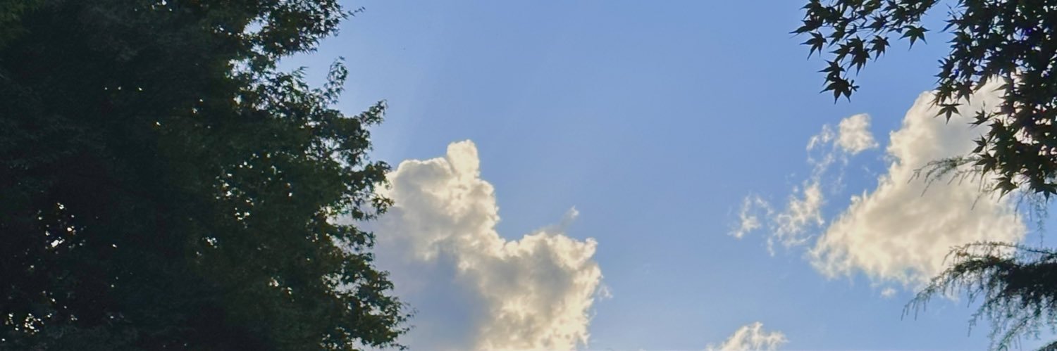 SECRETONLIFE's profile banner image