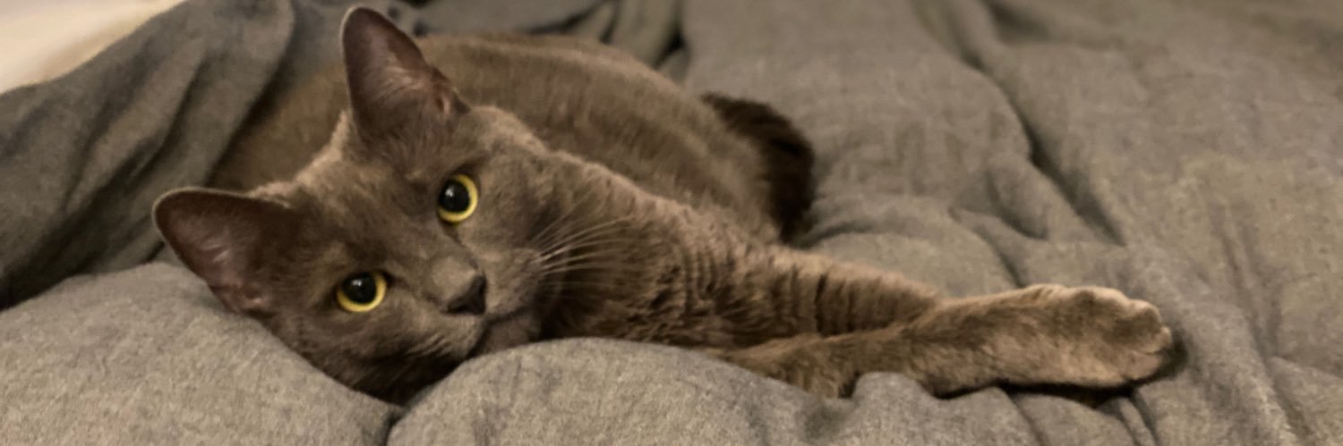chirpymerpy's profile banner image