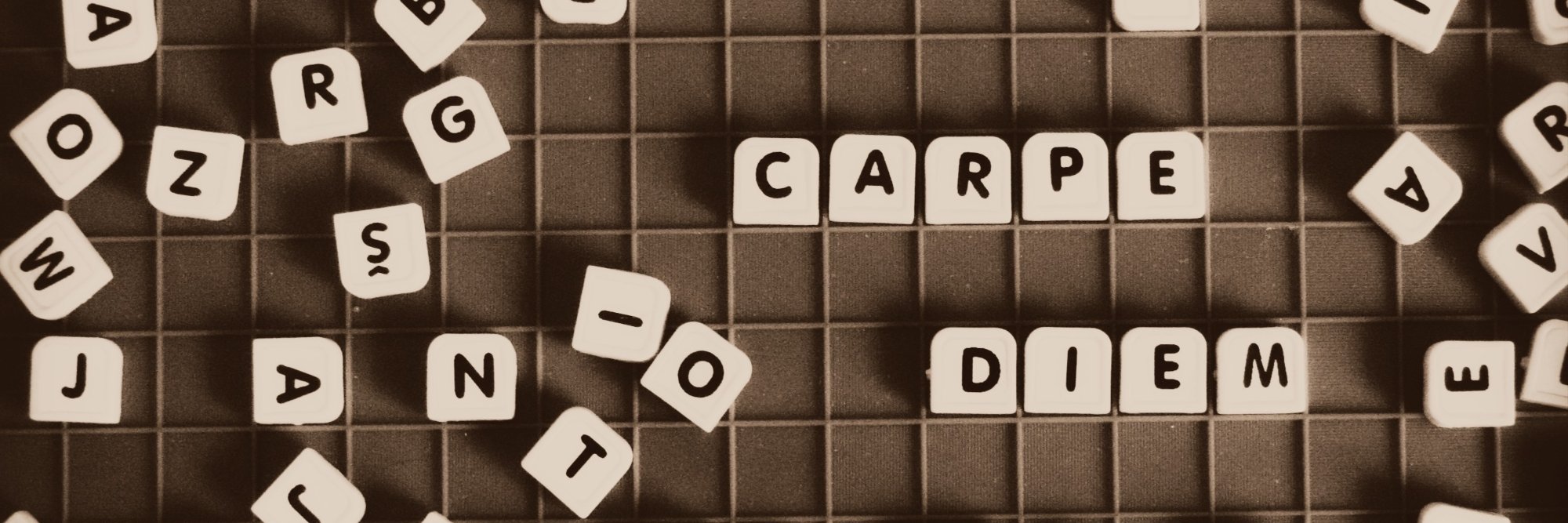 vane_caral's profile banner image